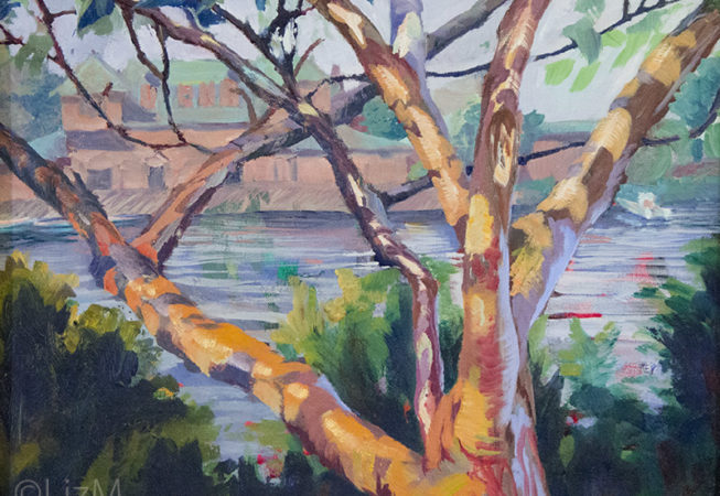 LizM: Tree by the Charles painting
